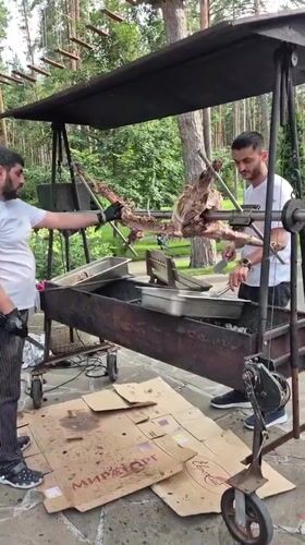 Whole animal roasting on a spit at a Russian outdoor gathering