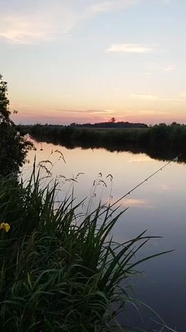 The video shows a tranquil scene by a body of water, likely a river or canal, at sunset. The sky is painted with soft hues of pink, orange, and blue, with scattered wispy clouds. The water's surface is calm, reflecting the colors of the sky and the dark silhouette of the treeline along the opposite bank.

In the foreground, tall green grass and reeds sway gently. A single yellow flower is visible among the greenery on the left side. A fishing rod is set up on the right bank, extending out over the water, suggesting someone is fishing.

The overall atmosphere is peaceful and serene. The time of day is clearly sunset, indicated by the warm sky colors and the soft lighting. The location is identified as Geestland, Germany. No people are visible, but the presence of the fishing rod implies human activity. No text is visible in the video.