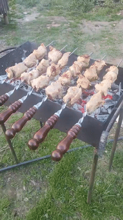 Family barbecue gathering with baby in rural Russia