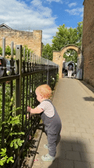Outdoor brass band concert in historic Meisenheim ruins