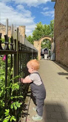 A toddler with red hair and wearing a striped shirt and gray overalls stands on a paved walkway, looking through a black metal fence. The toddler is holding onto the fence. Green plants grow on the other side of the fence. Behind the fence, there are stone buildings and trees. In the distance, through an arched opening in a stone wall, two adults are visible, one wearing a black jacket and the other a white top. The sky is blue with white clouds. The sun is shining.