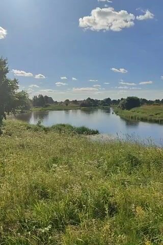 The video shows a wide, calm river flowing through a grassy landscape under a bright blue sky with scattered white clouds. Tall green grass and wildflowers line the riverbank in the foreground. Trees and bushes form a natural border on the opposite bank, with a few distant structures visible on the horizon. The sunlight creates a gentle shimmer on the water's surface. The scene is peaceful and appears to be a natural outdoor environment.