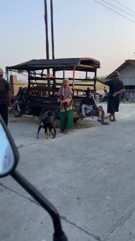 The video begins with a street scene in what appears to be a rural or semi-rural area. Three people are visible. One person, wearing a hat and dark clothing, stands with their back to the camera, leaning against a wooden structure. Another person, wearing a hat and a dark shirt, stands facing away from the camera and appears to be talking or interacting with the first person. A third person, wearing a light green shirt and black pants, stands in the foreground with their back to the camera, holding something to their mouth and looking down the street. The background shows a house, a motorcycle, and vegetation.

The camera then transitions to a shot from the perspective of someone riding a motorcycle. The view shows a dirt road leading into the distance, flanked by a fence and trees.

The video changes again, showing a paved road lined with parked trucks and cars. Power lines are visible overhead, and trees line the street. People are seen standing near the vehicles. The camera continues to move forward, showing more of the road and the surrounding environment, including houses and vegetation.

The final shots continue to show the road from the motorcycle's perspective, with more houses and trees visible. The sky is clear and appears to be either early morning or late afternoon, with soft sunlight.