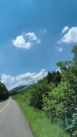 A stationary, low-angle, slightly shaky, vertical video captures a scenic view of a paved road winding through a lush, green landscape on a bright, sunny day. The sky is a vibrant blue, dotted with fluffy white clouds. To the right of the road, dense green trees and foliage line the path, with a glimpse of a forest in the distance. To the left, the road curves gently uphill, with more greenery and a distant hillside visible. The road appears to be a two-lane asphalt surface with a white line marking the center. No people or vehicles are clearly visible in the frame. The overall impression is one of a peaceful, natural environment.