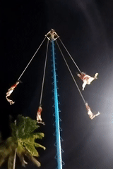 Traditional Voladores ritual performed at night in Playa del Carmen
