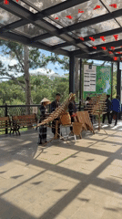 Traditional musicians perform with bamboo instruments in Da Lat