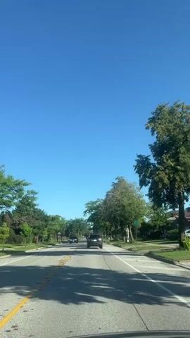 This is a vertical, first-person video taken from inside a vehicle traveling on a suburban road on a clear, sunny day. The road is paved with asphalt and has a yellow line down the center and white lines marking the lanes. Trees line both sides of the road, casting shadows on the pavement. Several cars are visible, driving in the same direction as the camera. The sky is a bright, cloudless blue.