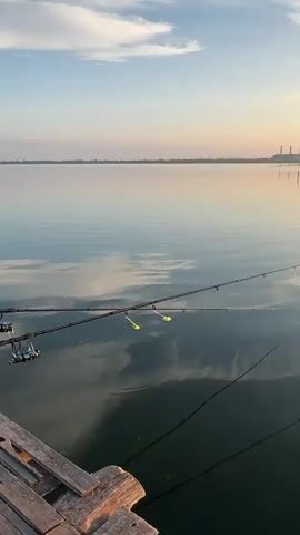 The video shows a serene body of water, possibly a lake or calm sea, at dawn or dusk. The sky is a gradient of soft blues and pinks, with wispy clouds reflected on the glassy surface of the water. Several fishing rods are set up on a wooden dock in the foreground, their tips pointed towards the water. Two fishing floats, bright yellow, are visible on one of the lines. The water is calm, with subtle ripples creating a distorted reflection of the sky and fishing equipment. In the distance, the silhouette of what appears to be industrial chimneys is visible against the horizon. The overall impression is one of peaceful solitude and anticipation.