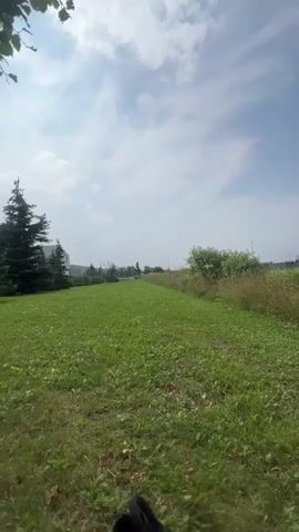 The video pans across a green lawn with a path leading into the distance. To the left, there are trees and buildings. To the right, there is overgrown grass and bushes. The sky is blue with some clouds. There are no people or animals visible in the video. The video appears to be shot on a bright, sunny day.