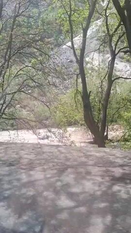 The camera appears to be traveling on a road next to a muddy river, with a mountain side covered with trees and vegetation in the background. A tree is initially in the foreground. The road has concrete barriers along the side closest to the river.  Music is playing in the background.