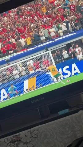 A television screen displays a soccer match. In the foreground, a player in a yellow and green uniform is kicking a soccer ball towards the goal. A goalkeeper in red is diving to block the shot. The background shows a stadium filled with cheering spectators wearing red and white. The screen also displays the Samsung logo and the word "VISA." The camera briefly pans to a man in a yellow shirt, possibly a coach or staff member, reacting to the game.