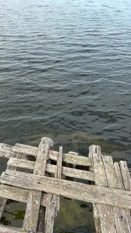 The video shows a view of a calm, open body of water from a weathered, wooden dock. The water is dark with small ripples across the surface. In the background, a line of trees and hills is visible under a sky with scattered clouds. The dock is constructed from aged wooden planks. The overall scene is tranquil and depicts a natural setting.