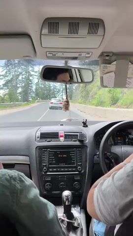 The video captures an interior view from a car, showing the dashboard and the road ahead as the vehicle navigates a winding route in a mountainous and forested area. The perspective is from the rear passenger seat, looking towards the front windshield.

In the foreground, a person is driving, with their hands visible on the steering wheel and operating the gear shift. They are wearing a light-colored short-sleeved shirt. On the left, a passenger's lower body, dressed in green pants, is partially visible.

The car's interior features a dark dashboard, a steering wheel with a Skoda logo, and a central console equipped with an infotainment system. The display on the system shows "FM 1" and "87.5 MHz", indicating a radio station is tuned in. Other visible controls on the console include buttons labeled "SCAN", "BAND", "CD", "AUX", "SETUP", "MENU", "TUNE", "SOUND", and "VW RADIO". A small, decorative object hangs from the rearview mirror, and some papers are tucked into the passenger-side sun visor.

Through the windshield, the car is seen driving on a two-lane asphalt road with a visible white broken center line. Other vehicles, including a white sedan and a red SUV, are observed ahead on the road. The landscape outside is characterized by dense green trees, likely conifers, and rocky terrain, suggesting a mountain pass or a forested region. The weather appears bright and clear during what looks like daytime.

The activity depicted is driving through a scenic route, with Bulgarian music playing in the background from the car's audio system. The setting is identified as Sokolovtsi, Bulgaria, which aligns with the mountainous and forested environment observed.