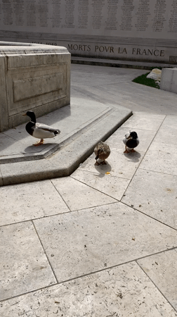 Parisians feed ducks, gather outdoors in spring morning scenes