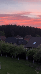Evening life captured in Belarusian village during sunset hours