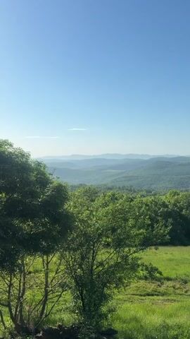 The video shows a landscape of green, rolling hills and trees under a clear, blue sky. In the foreground, a meadow of green grass is partially obscured by several green trees.  The background features multiple layers of distant, hazy mountains. The scene is brightly lit by daylight.