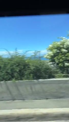 The video shows a fast-moving view from a window, likely a car or bus, looking out towards a bright blue sky and the ocean. In the middle ground, there is a dense line of green foliage. On the right side of the frame, a person on a scooter or motorcycle is visible riding along a road that runs parallel to the ocean. The motion blur indicates the speed at which the footage was captured. The foreground shows a concrete barrier with some grass growing along its base. The overall scene depicts a sunny day by the sea, with a sense of travel and movement.
