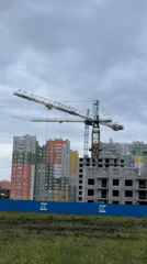 Daily life scenes captured in Rostov-on-Don construction, dog