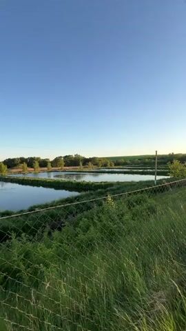 The video begins with a view over several ponds or bodies of water separated by vegetation, with a chain-link fence running along the foreground. A utility pole is visible in the upper right, against a clear blue sky. The camera then pans to the right, revealing a paved road. The sun is low on the horizon, reflecting brightly on the water. The camera moves further along the road, showcasing the sun partially obscured by trees. As the camera pans further right, the view opens to a larger body of water, with trees and vegetation along the shore. The water has small ripples. The sky is still clear and blue, and the sun is setting, creating a warm glow.