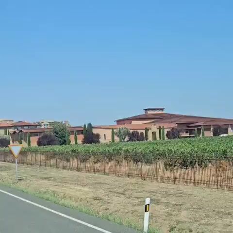 A highway perspective is captured as a vehicle moves alongside a vineyard. A sign in the foreground indicates "Museo Vivanco de la Cultura del Vino" (Vivanco Museum of Wine Culture) with an arrow pointing forward, and a distance of 500 meters. Beyond the vineyard, a town with terracotta roofs and a prominent bell tower is visible on a hill. The sky is clear and blue.