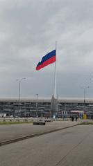 Russian flag flies over modern building with palm trees