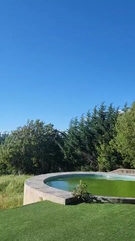 The video shows a landscape view on a sunny day. In the foreground, there's a green, possibly artificial, lawn and a circular structure with a pool of green water. Behind this immediate foreground, a field of tall grass stretches towards a line of trees, which includes both deciduous and evergreen varieties. Beyond the trees, there are buildings and hints of urban development against the backdrop of a mountain range. The sky is a clear, bright blue with some white clouds hovering near the horizon. The camera slowly pans from right to left. The sun is shining brightly, creating a glare in the sky.