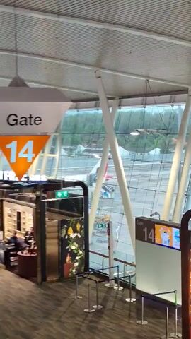 This video shows the interior of an airport terminal with a large glass window overlooking an airport tarmac. The terminal is modern with white structural beams supporting a high ceiling. In the foreground, there is a duty-free shop with displays of perfumes and cosmetics. A sign reads "PERFUMES & COSMETICS". Products from brands like ACQUA DI PARMA and HERMÈS are visible. There is also a sign with "Chloe" and a perfume bottle. To the left, a gate number "14" is displayed on a screen. Outside the window, an airplane is visible on the tarmac, along with airport vehicles and lush green trees lining the area beyond the tarmac. The sky is overcast, suggesting potentially rainy or cloudy weather. The overall scene is bright and airy, typical of a modern airport environment.