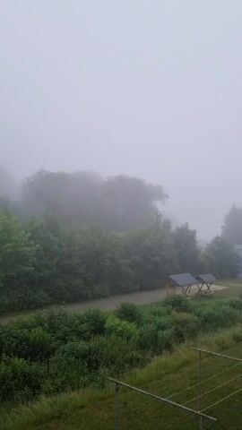 This is a vertical video with a hazy, overcast sky filling the top half of the frame. The bottom half depicts a landscape enveloped in thick fog. In the mid-ground, a tree-lined path or road curves gently from left to right. On the right side of this path, two small, wooden picnic shelters with grey roofs are visible. The foreground consists of a grassy area with some fencing. Lush green bushes and trees dominate the scene, with the fog obscuring the distant background. The overall atmosphere is muted and serene due to the weather conditions, suggesting an early morning or late evening in a rural or park-like setting, possibly in Mehltheuer, Germany. No people are visible, and there is no discernible text within the video.