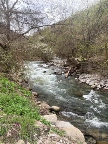 The video shows a moderately fast-flowing river cascading over rocks, cutting through a landscape of trees and vegetation. The water is clear enough to see the riverbed in places. The banks of the river are lined with large rocks and green vegetation, with trees on both sides. The trees appear to be in early spring, with some showing new leaves and white blossoms. The sky is overcast, suggesting a dull or cloudy day. There is some trash on the riverbank.