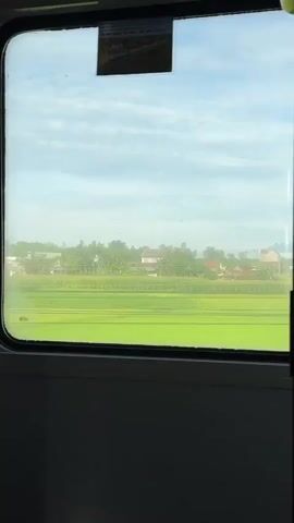 The video shows a view from inside a train, looking out a window. Outside, there is a vast, bright green field that appears to be a rice paddy. In the distance, there are several buildings, some residential and some industrial, with a few scattered trees. The sky is mostly blue with some white clouds. The overall impression is of a rural landscape in daylight, likely during the daytime. The video is brief, with no discernible actions or interactions taking place.