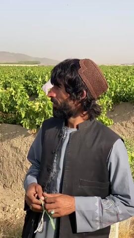 A man with a beard and dark, wavy hair wears a brown skullcap, a grey tunic, and a black vest. He holds green prayer beads in his hands. He stands in a field with rows of green plants and dry soil. In the background, another person is visible behind the plants. Mountains are visible in the distance under a clear sky.