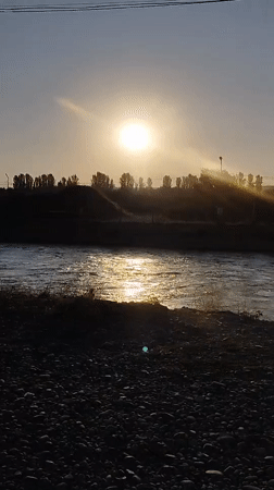 Sunset and a resting puppy, a quiet Tashkent evening