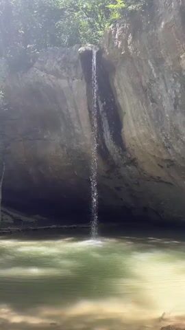 A serene waterfall cascades down a rocky cliff face into a tranquil pool of water. The water appears clear and green, reflecting the lush foliage that surrounds the area. Sunlight filters through the trees, casting dappled shadows on the scene. The waterfall itself is narrow, with a gentle flow, creating a peaceful and natural ambiance. The rock face is weathered and textured, showing signs of erosion over time. The overall impression is one of untouched natural beauty and serenity.