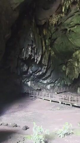 The video captures an interior view of a large cave with numerous stalactites hanging from the ceiling and stalagmites rising from the floor. A wooden boardwalk with railings winds through the cave, allowing visitors to navigate the uneven terrain. In the distance, illuminated figures can be seen on the boardwalk, suggesting the presence of tourists exploring the cave. The overall environment is dimly lit, with the cave walls and formations displaying earthy tones and patches of green, likely moss or algae.