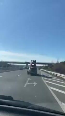 On a bright, sunny day, a car follows behind a grey truck driving on a highway. Strapped to the bed of the truck is a large, three-dimensional model of a Tyrannosaurus Rex head, its mouth open wide. In the background, the highway extends under a concrete overpass, flanked by grassy fields. Another car is visible driving in the same direction in the distance. The truck's license plate is partially visible, with the letters "A" and "PB" discernible. The sky is clear and blue.