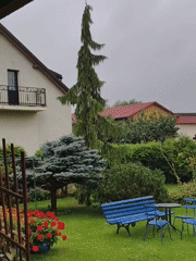 A rainy afternoon in a Tczew garden, tea on the windowsill.