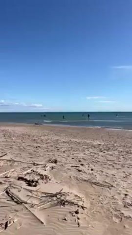 The video displays a coastal scene on a sunny day. The camera pans across a sandy beach covered in driftwood. In the distance, people are visible engaging in water sports, possibly windsurfing or paddleboarding, on the calm, turquoise ocean. The sky is a clear blue with a few scattered clouds.