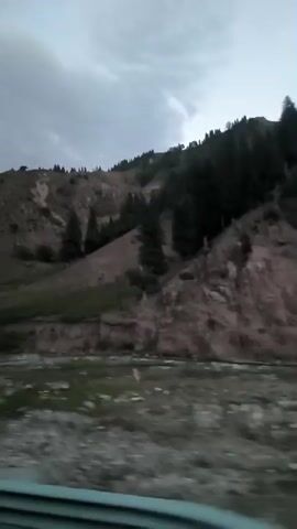 This is a blurry, handheld video taken from a moving vehicle. It shows a mountainous landscape with sparse trees on the slopes. The sky is cloudy and overcast. There is a road guardrail in the foreground. The overall impression is one of a natural, rugged environment.