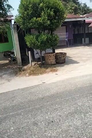 The video displays a roadside scene with a small shop and some trees on the left. The shop appears to be made of wood and tin and has various items displayed outside. Some trash is visible on the ground near the shop and further down the road. The road itself is paved and appears to be a public thoroughfare. The lighting suggests it is daytime. The video is recorded from a moving vehicle.