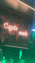 Neon 'Coyote Sunsets' sign lit up against lush greenery in Riga