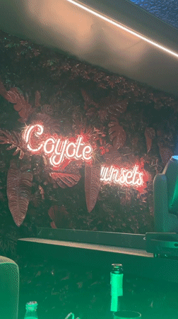 Neon 'Coyote Sunsets' sign lit up against lush greenery in Riga