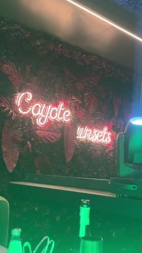 Neon 'Coyote Sunsets' sign lit up against lush greenery in Riga