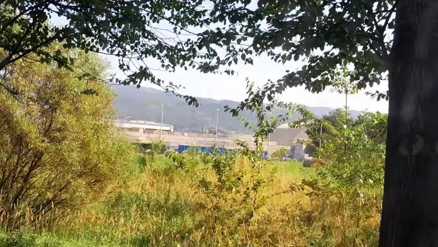 The video is a moving shot through a natural landscape, focusing on the trees and foliage in the foreground. In the background, there's a view of distant hills and some man-made structures, possibly buildings or industrial facilities, partially obscured by trees and greenery. The sky is visible and appears to be clear or partly cloudy. The overall impression is of a rural or semi-rural setting, possibly during daytime.