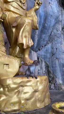 A monkey sits on a golden ledge in front of a large golden statue of a man. The statue is of a man with a beard, wearing a turban and beads. He holds a fan in his right hand and a feather in his left. The monkey is looking to the right. The background is a rock face.