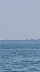 Paddleboarding near shore with land and buildings in view