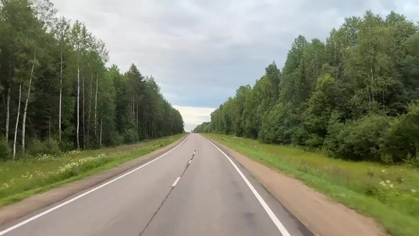 The video shows a first-person perspective driving down a two-lane asphalt road that is bordered by dense green trees on both sides. The sky is cloudy and overcast. The road has white lines marking the lanes and a white line on the outer edge. There is grass and some small white flowers growing alongside the road. In the distance, a white truck can be seen driving in the same direction. The scene is tranquil and depicts a drive through a forested area.