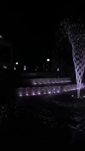 The video shows a fountain at night. The fountain is lit with colorful lights, primarily pink, purple, and blue. The water is spraying upwards in a dramatic display, and the lights are reflecting off the water. The background is dark, suggesting it is nighttime. There are some vague shapes in the background that might be buildings or trees, but they are not clearly discernible. The scene is peaceful and serene.