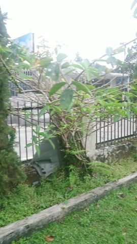 The video captures an outdoor scene, panning slowly from right to left across a garden and a residential building during the daytime, likely in Valenton, France.

The initial shot at 0:00 focuses on green foliage and branches in the foreground. Behind this vegetation, a black metal fence is visible, along with parts of a light-colored building and a concrete curb separating a grassy area on the right.

As the camera pans left from 0:01 to 0:03, a wider perspective of the garden emerges. A lush green lawn stretches along the right side, bordered by the concrete curb. In the background, several tall, slender evergreen trees with conical shapes stand out against a bright, overcast sky. Utility poles and power lines crisscross the upper part of the frame. More distant buildings and vegetation are also visible. In the mid-ground, a black metal outdoor swing or bench is placed on the grass, surrounded by various green plants and bushes.

The pan continues towards the left from 0:03 to 0:05, settling on a section of a single-story building. The building has light-colored (possibly beige or yellow) stucco walls, showing some signs of discoloration or weathering. A prominent brown-framed window is visible. Above, a sloped roof with corrugated material extends, and more electrical wires are seen against the sky. The grassy area continues along the right edge of the frame.

The scene depicts a peaceful, typical suburban or semi-rural garden setting. No people are visible, and no discernible text appears anywhere in the video. The lighting suggests an overcast or partly cloudy day.