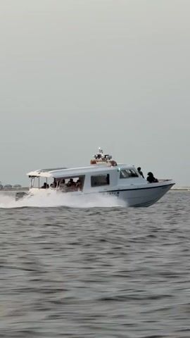 A white motorboat, labeled “SHADOWPALM” near its bow, races across a body of water. The boat has an open back with a roof covering and several windows, through which the silhouettes of passengers can be seen. At least two figures are visible on the front of the boat, near the bow. The water is choppy, and the boat is creating a white wake as it moves. The sky is overcast and grayish. In the distance, a strip of land can be seen.