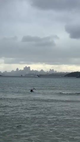 The video shows a choppy, grey body of water with a hazy cityscape in the background. A lone pelican is visible in the foreground, partially submerged in the water, with its head down as if searching for food. Several sailboats are dotted across the water, with one in the middle ground appearing closer to the pelican. The sky is overcast with thick, dark clouds, suggesting a gloomy or potentially stormy day. The waves are moderate, creating whitecaps on the surface. The overall impression is a serene yet slightly somber coastal scene.